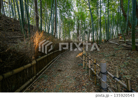 竹林の小径 135920543