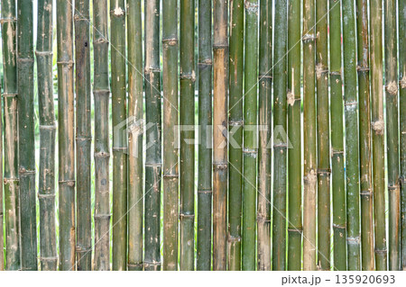 A close-up texture of a vertical bamboo fence made of green and brown natural stalks. This organic wooden background is perfect for eco-friendly, tropical, or outdoor garden design themes. A close-up texture of a vertical bamboo fence made of green and brown natural stalks. This organic wooden background is perfect for eco-friendly, tropical, or outdoor garden design themes. 135920693