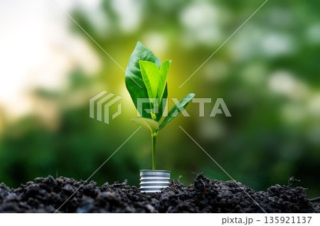 Renewable energy concept Earth Day or environment protection Hands protect forests that grow on the ground and help save the world. Renewable energy concept Earth Day or environment protection Hands protect forests that grow on the ground and help save the world. 135921137