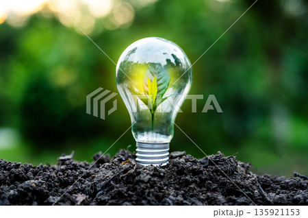 Renewable energy concept Earth Day or environment protection Hands protect forests that grow on the ground and help save the world. Renewable energy concept Earth Day or environment protection Hands protect forests that grow on the ground and help save the world. 135921153