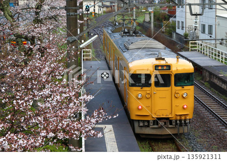 ［JR-V］伯備線115系電車（始発列車：岡山発米子行） 135921311