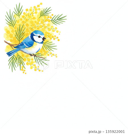 ミモザシリーズ：ミモザの枝に止まる幸せの青い鳥のコーナーイラスト 135922001