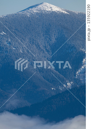 Snowy alpine forested mountain ridge under blue sky with mist and distant peaks 135922190