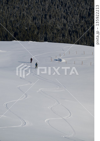 Two skiers carve winding tracks across a snowy slope toward a forested horizon 135922213