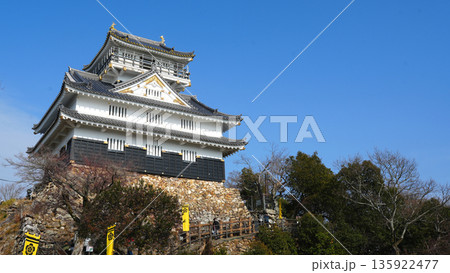岐阜城 135922477