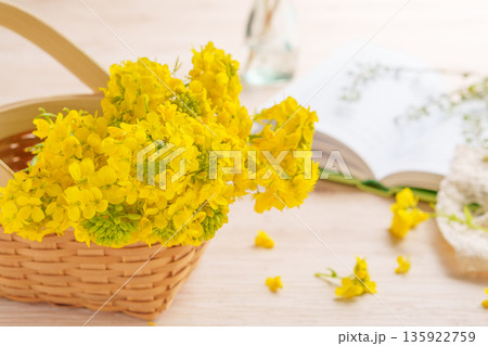 バスケットに飾られた菜の花 バスケットに飾られた菜の花 135922759