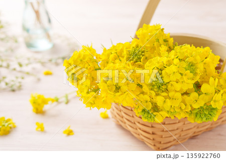 バスケットに飾られた菜の花 135922760