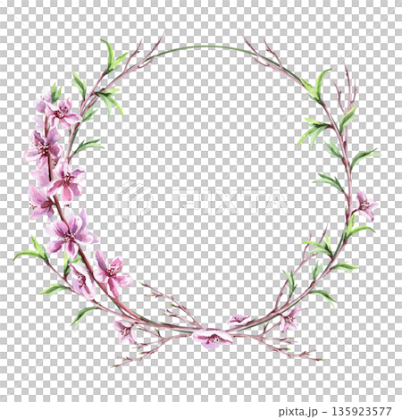 A wreath of young peach branches with flowers. Isolated watercolor illustration in a realistic style for postcards, interiors, spring holidays, packaging, and poster printing. A wreath of young peach branches with flowers. Isolated watercolor illustration in a realistic style for postcards, interiors, spring holidays, packaging, and poster printing. 135923577