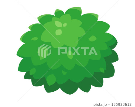 かわいい低木のイラスト 135923612