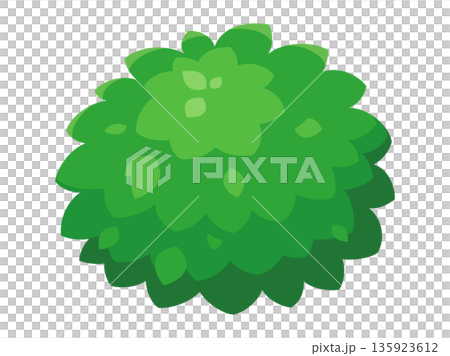 かわいい低木のイラスト 135923612