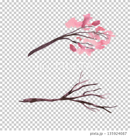 A set of two branches with and without flowers. Isolated watercolor illustration in a la prima style for postcards, interiors, spring holidays, packaging, and poster printing. A set of two branches with and without flowers. Isolated watercolor illustration in a la prima style for postcards, interiors, spring holidays, packaging, and poster printing. 135924087