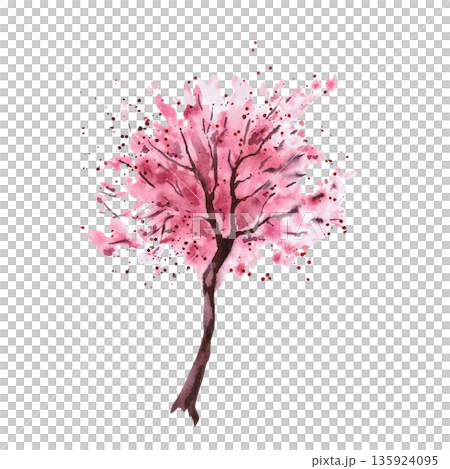 A pink blossom tree. Isolated watercolor illustration in a la prima style for postcards, interiors, spring holidays, packaging, merch, posters, and fabric. A pink blossom tree. Isolated watercolor illustration in a la prima style for postcards, interiors, spring holidays, packaging, merch, posters, and fabric. 135924095