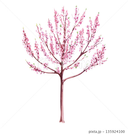 Blooming dog tree. Isolated watercolor illustration in a realistic style for postcards, interiors, packaging, merch, posters, and fabric. 135924100