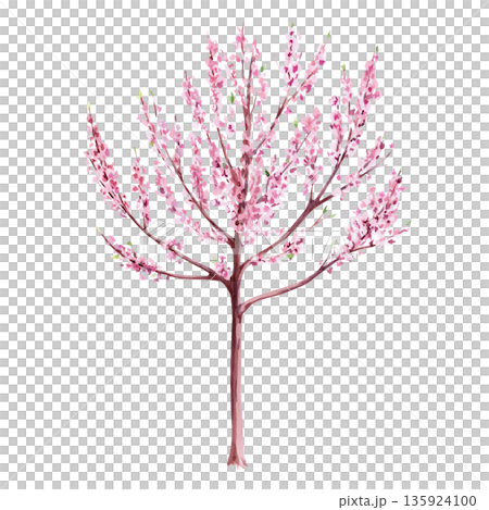 Blooming dog tree. Isolated watercolor illustration in a realistic style for postcards, interiors, packaging, merch, posters, and fabric. 135924100