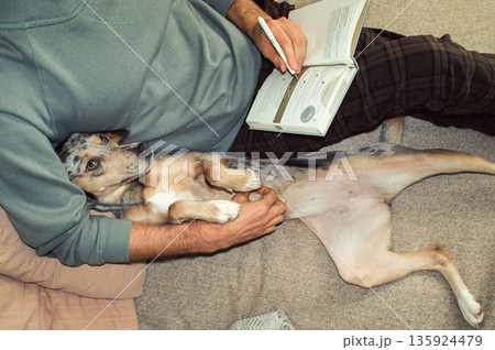 man reads book or writes notes in diary while lying on bed with his dog. taking care of a pet. man reads book or writes notes in diary while lying on bed with his dog. taking care of a pet. 135924479