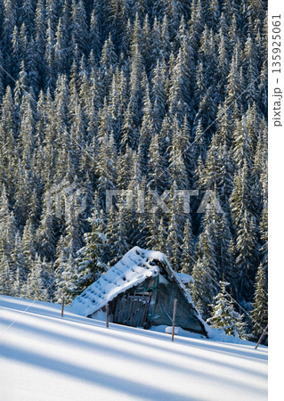 Snowy forest cabin and snow-covered tent in a remote winter landscape under pine trees Snowy forest cabin and snow-covered tent in a remote winter landscape under pine trees 135925061