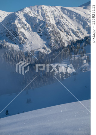 Snowy mountain scene with pine trees and fresh powder under a blue sky, alpine landscape 135925115
