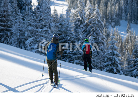 Two skiers trek across fresh powder on a sunlit slope surrounded by snow-laden pines, capturing a serene winter adventure 135925119