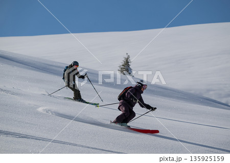 Two skiers carving through fresh powder on a sunny alpine slope in backcountry skiing Two skiers carving through fresh powder on a sunny alpine slope in backcountry skiing 135925159