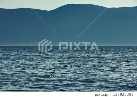 An evening view of the coastline of Vlora, Albania, taken in August 2025. Soft sunlight illuminates the rocky hills and seascape. An evening view of the coastline of Vlora, Albania, taken in August 2025. Soft sunlight illuminates the rocky hills and seascape. 135925389