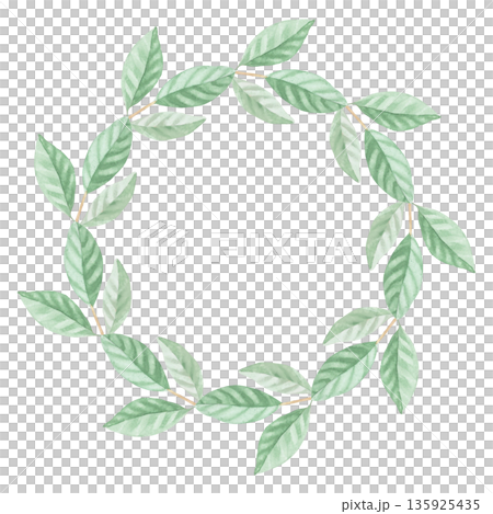 Wreath of the leaves of magnolia. Handmade watercolor illustration. For packaging design, cards, cover, wallpaper, prints, product labels and fabric. 135925435