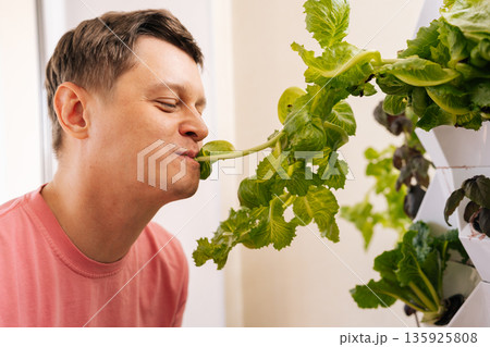 Happy young man enjoying fresh taste of homegrown organic lettuce from indoor vertical hydroponic garden, embracing sustainable urban farming and healthy eating practices at home. 135925808