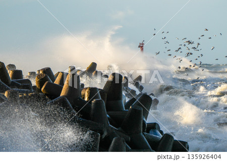 Powerful storm waves crashing on coastal breakwater with flying seabirds near Liepaja, Baltic Sea Powerful storm waves crashing on coastal breakwater with flying seabirds near Liepaja, Baltic Sea 135926404