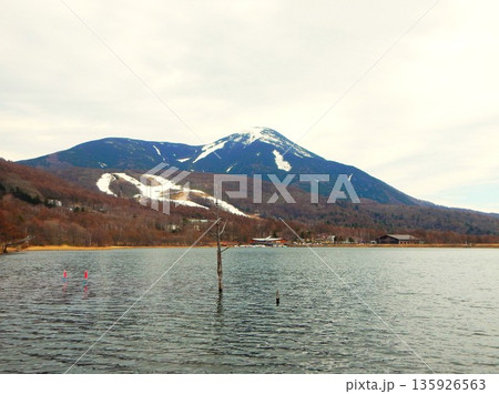 女神湖から見る蓼科山 長野県 1 女神湖から見る蓼科山 長野県 1 135926563