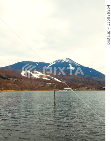 女神湖から見る蓼科山　長野県　2 135926564
