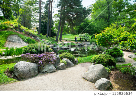 Awe view on Japanese garden with blooming rhododendrons, a pond, stone lantern and wooden zigzag bridge Awe view on Japanese garden with blooming rhododendrons, a pond, stone lantern and wooden zigzag bridge 135926634