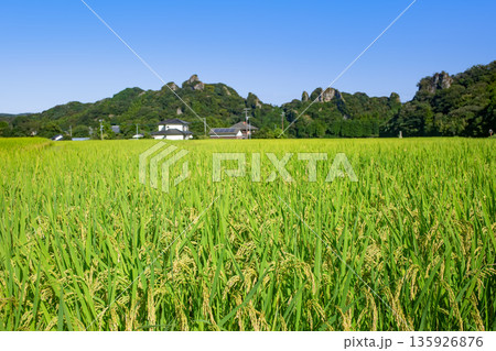 田染荘 135926876