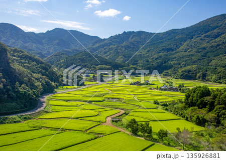 田染荘 135926881