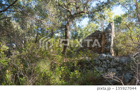 Remains of building walls in the ruins of the ancient city of Phaselis in Lycia in modern Turkey 135927044