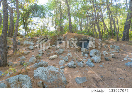 Nature of Turkey. Phaselis ancient city territory. Mediterranean sea coast. Asia Minor. Nature of Turkey. Phaselis ancient city territory. Mediterranean sea coast. Asia Minor. 135927075