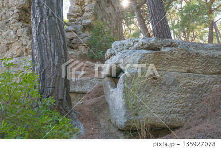Stone Tomb in Phaselis Ancient Necropolis in Turkey. 135927078