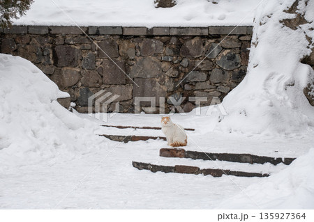 Ginger and white cat sits on snow-covered stone steps near the rock-cut walls of the Geghard Monastery, surrounded by ancient stone and winter silence Ginger and white cat sits on snow-covered stone steps near the rock-cut walls of the Geghard Monastery, surrounded by ancient stone and winter silence 135927364