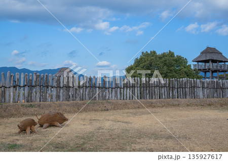 弥生の風景 吉野ヶ里 弥生の風景 吉野ヶ里 135927617