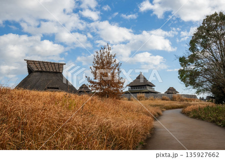 弥生の風景 吉野ヶ里 弥生の風景 吉野ヶ里 135927662