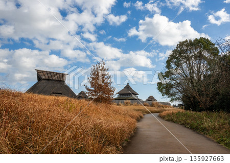 弥生の風景 吉野ヶ里 弥生の風景 吉野ヶ里 135927663