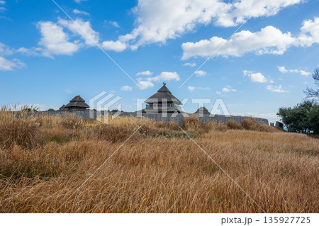 弥生の風景 吉野ヶ里 弥生の風景 吉野ヶ里 135927725
