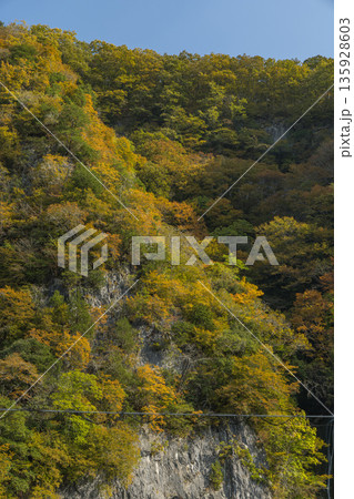 日本 岡山県新見市井倉にある井倉峡の絶壁と紅葉 日本 岡山県新見市井倉にある井倉峡の絶壁と紅葉 135928603