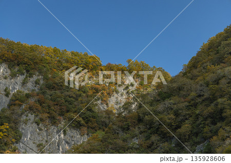 日本 岡山県新見市井倉にある井倉峡の絶壁と紅葉 日本 岡山県新見市井倉にある井倉峡の絶壁と紅葉 135928606
