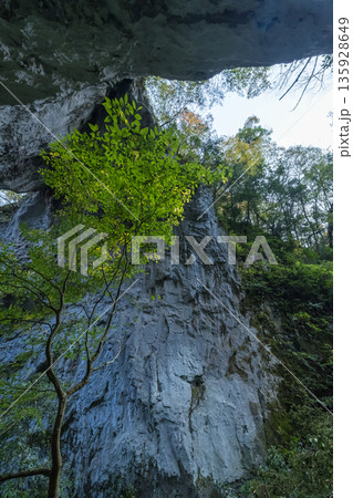 日本　岡山県新見市草間にある巨大な天然橋と鍾乳洞である羅生門の第一門 135928649