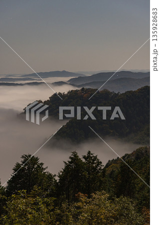 日本　岡山県高梁市にある雲海展望台から眺める早朝の備中松山城と雲海 135928683