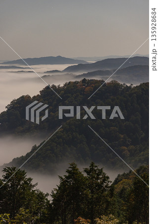 日本　岡山県高梁市にある雲海展望台から眺める早朝の備中松山城と雲海 135928684