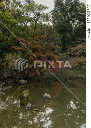 日本　岡山県岡山市北区後楽園の日本庭園内にある花葉の池と紅葉 135928797