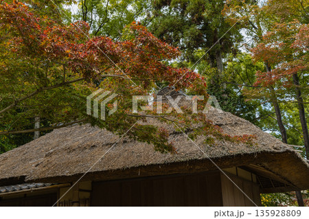 日本　岡山県岡山市北区後楽園の二色が岡の紅葉と茂松庵 135928809