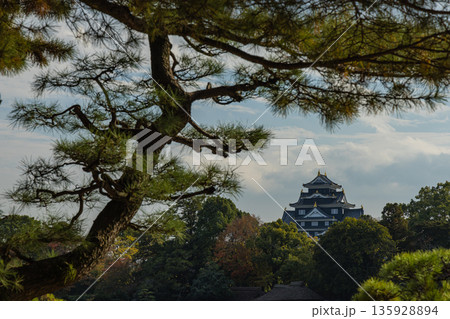 日本　岡山県岡山市北区後楽園の日本庭園から眺める岡山城 135928894