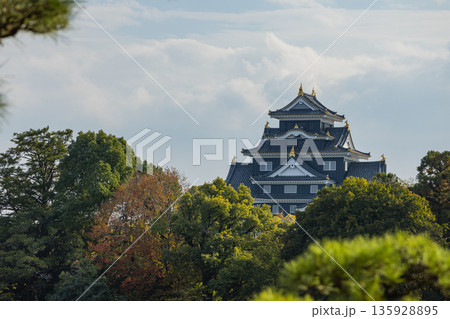 日本 岡山県岡山市北区後楽園の日本庭園から眺める岡山城 日本 岡山県岡山市北区後楽園の日本庭園から眺める岡山城 135928895