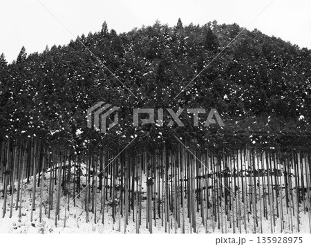 兵庫県宍粟市のちくさ高原スキー場の雪景色 兵庫県宍粟市のちくさ高原スキー場の雪景色 135928975